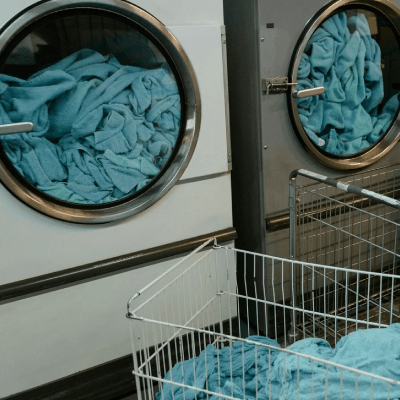 BEDDING